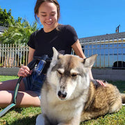 Pup Jet Sprayer