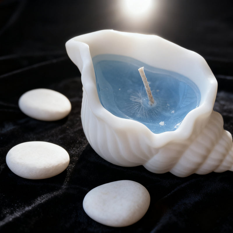 Coastal Seashell Candle 3-Pack - Christmas Gift Set | Festive Scented Candles for Holiday Decor & Relaxation (Ocean Breeze + Vanilla + Cinnamon)