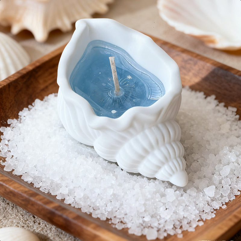 Coastal Seashell Candle 3-Pack - Christmas Gift Set | Festive Scented Candles for Holiday Decor & Relaxation (Ocean Breeze + Vanilla + Cinnamon)